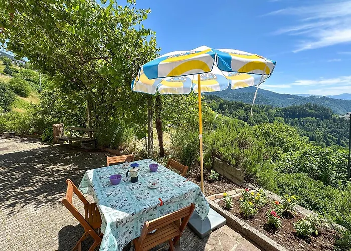 Beautiful In With Wifi *