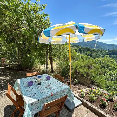 Beautiful In With Wifi *